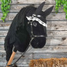 Bonnet noir pour hobby horse