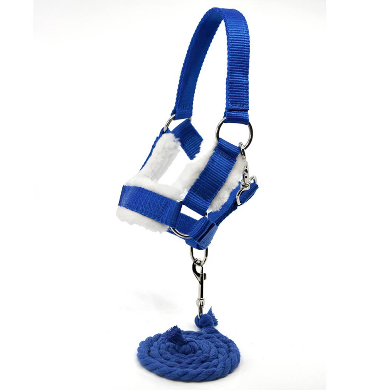 Licol Moumoute bleu pour Hobby Horse