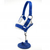 Licol Moumoute bleu pour Hobby Horse