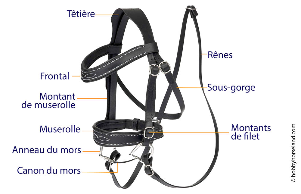 les différentes parties du filet pour hobby horse